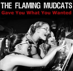 Gave You What You Wanted