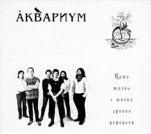 Наша Жизнь С Точки Зрения Деревьев