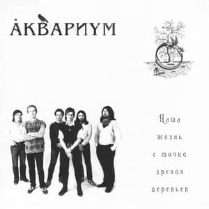 Наша Жизнь С Точки Зрения Деревьев