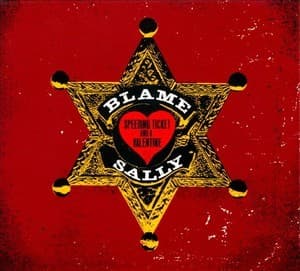 Speeding Ticket And A Valentine