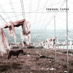 Everything Is Quite Now