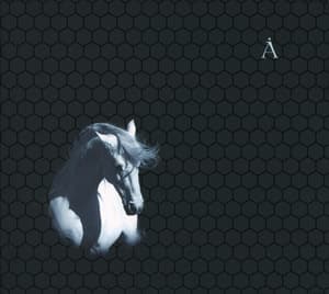 Лошадь Белая