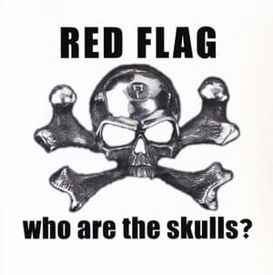 Who Are The Skulls?