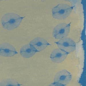 Papa Haydn's Ghost Stories