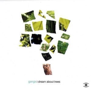 I Dream About Trees