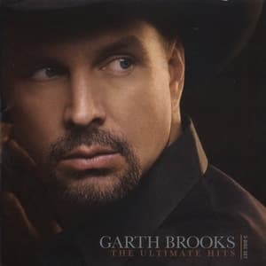 The Ultimate Hits (2CD)