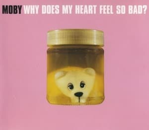 Why Does My Heart Feel So Bad?