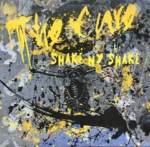 Shake Ny Shake