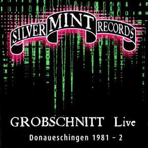 Live Donaueschingen 1981 - 2