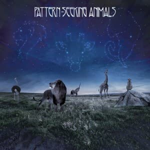 Pattern-Seeking Animals