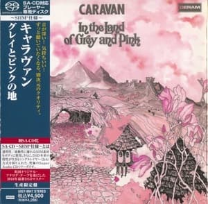 In The Land Of Grey And Pink