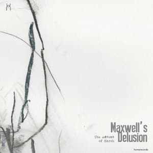 Maxwell's Delusion