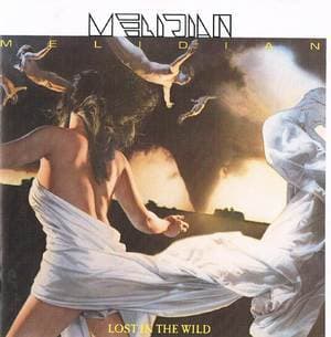 Lost In The Wild (epic 465424 2)