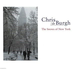 The Snows Of New York