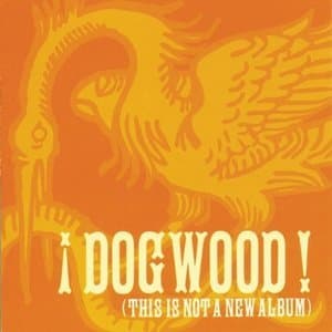 (This Is Not A New Album)