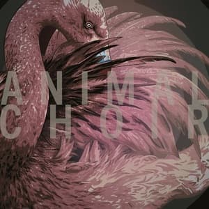 Animal Choir