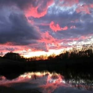 Morgondagen är blek...