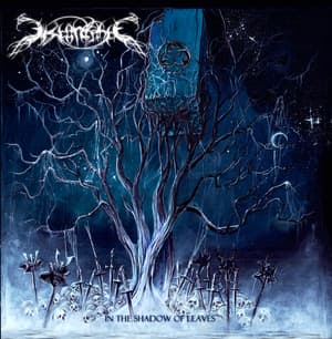 In The Shadow Of Leaves