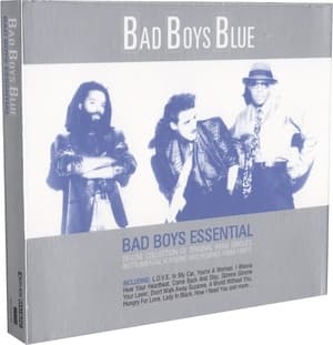 Bad Boys Essential