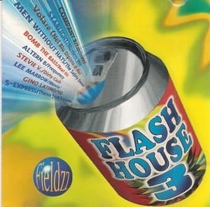 Flash House 3