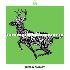 The Best Of 10 Years, Vol. 2 (Mixed By Timid Boy)