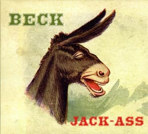Jack-Ass