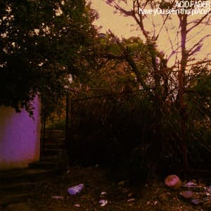 Have You Seen This Place