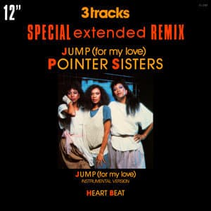  Jump (For My Love) (Special Extended Remix) 