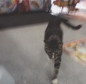 I Also Want To Die In New Orleans (2CD)