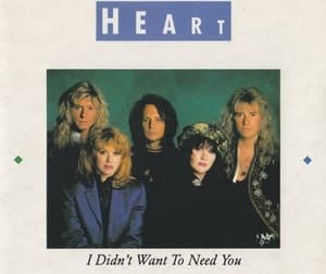 I Didn't Want To Need You