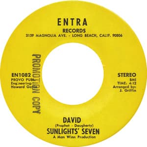 David - Judy In Disguise