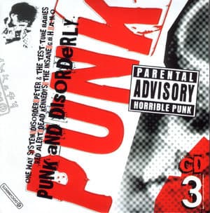 Punk Original Masters [10 CD BoxSet] (CD03) - Punk And Disorderly
