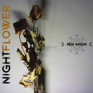 Nightflower