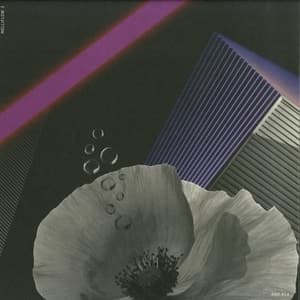 Perception Of Objective Reality