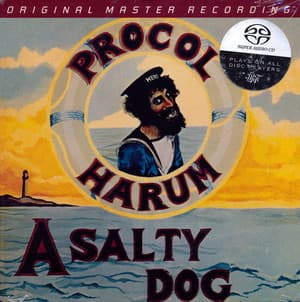 A Salty Dog