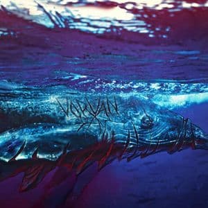 Sailing the Vastness of Oceans