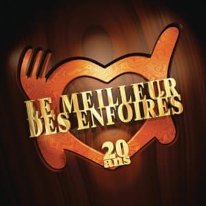 Le Meilleur Des Enfoirés 20 Ans