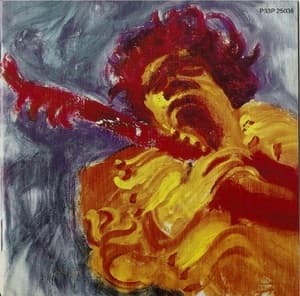 The Jimi Hendrix Concerts