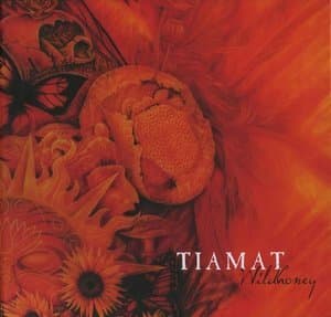 Wildhoney (2007 Remastered, CD2: Wildlife Live in Stockholm)