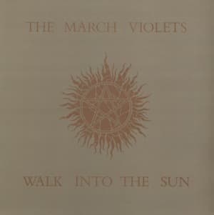 Walk Into The Sun