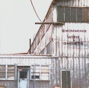 The One With The Broken Wings