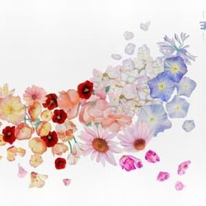 Flor (24Bit-88.2Khz)