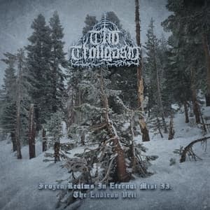 Frozen Realms In Eternal Mist II: The Endless Veil