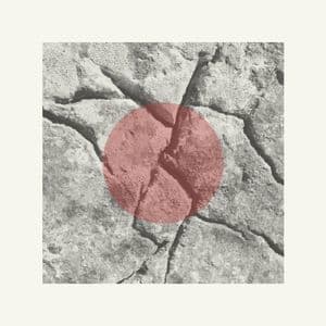 An Ash-tree Which The Ignorant Call Holy