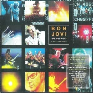 One Wild Night: Live 1985-2001