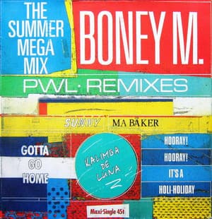 The Summer Mega Mix (PWL Remixes)