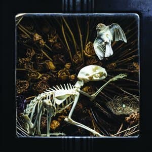 Hymns For The Hopeless (The Early Years 2014)