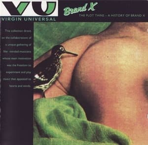 The Plot Thins - A History Of Brand X