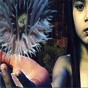 Lifeforms (CD2)