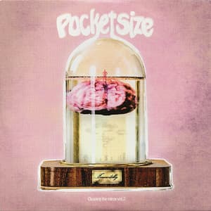 Immortality - Cleaning The Mirror, Volume 2